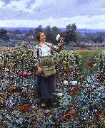 Daniel Ridgeway Knight Picking Poppies oil painting picture wholesale